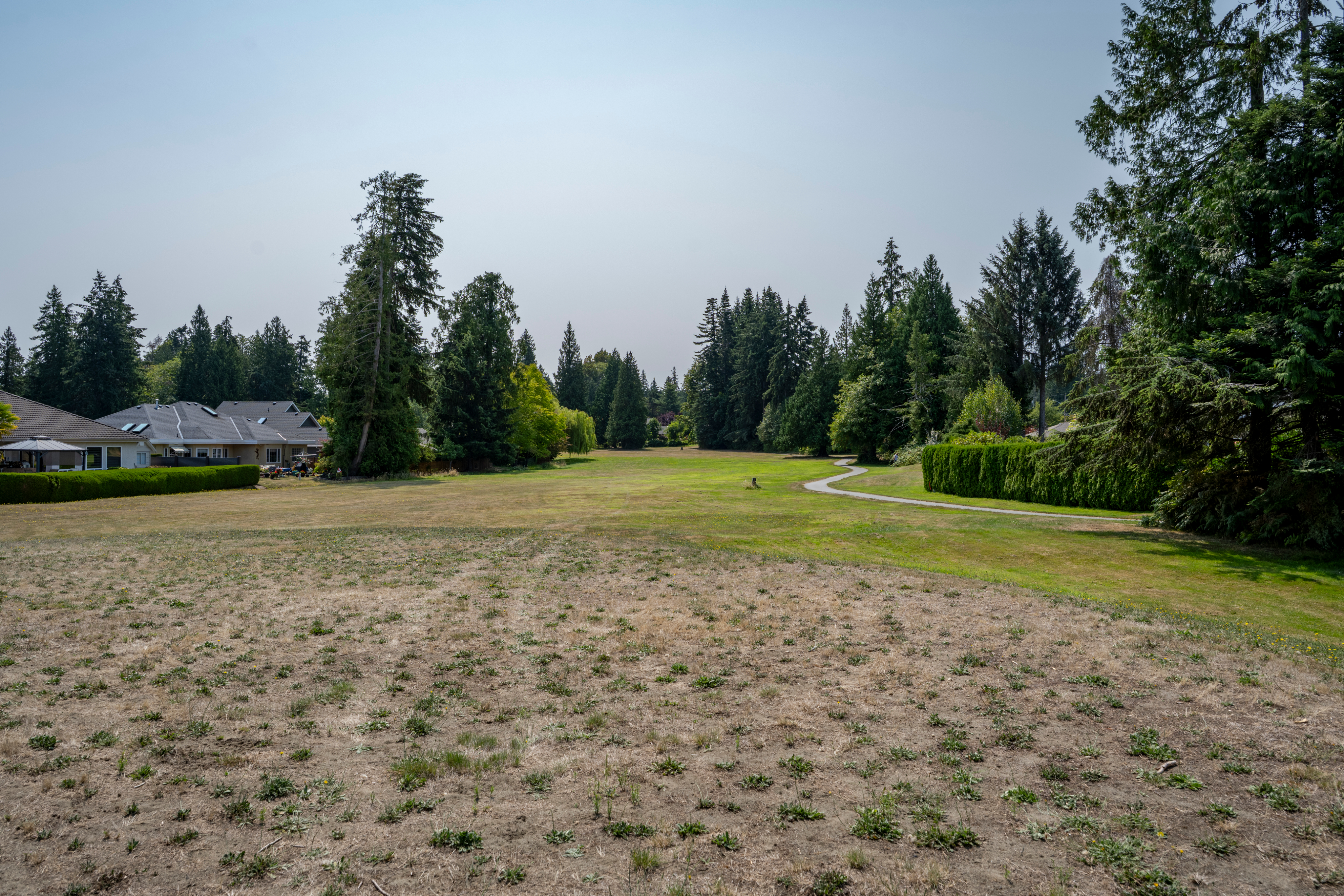 photo: the parkland, mown grass